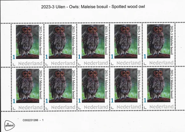 Nederland 2023-3 Uilen - Owls; Maleise bosuil Spotted wood owll vel-sheetlet postfris/mnh