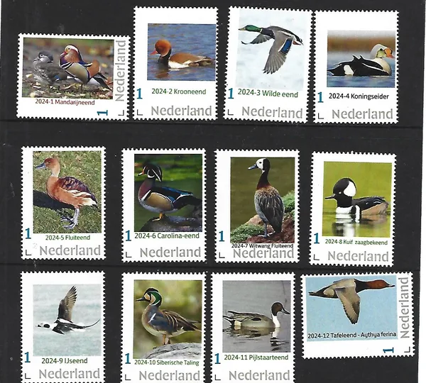 Netherlands 2024 Duck: annual set MNH