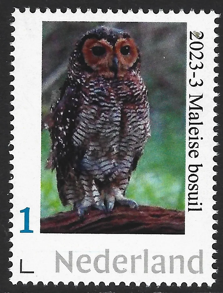 Niederlande 2023-3 Eulen; Fleckenkauz postfrisch/mnh