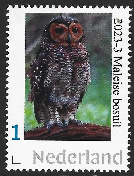 Netherlands 2023-3 Owls; Spotted wood owl MNH