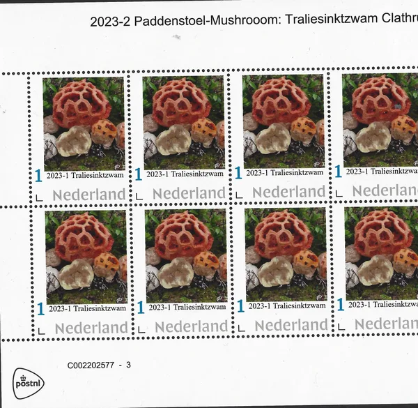 Nederland 2023-1a Paddenstoelen mushroom: Traliesinktzwam vel-sheetlet postfris/mnh
