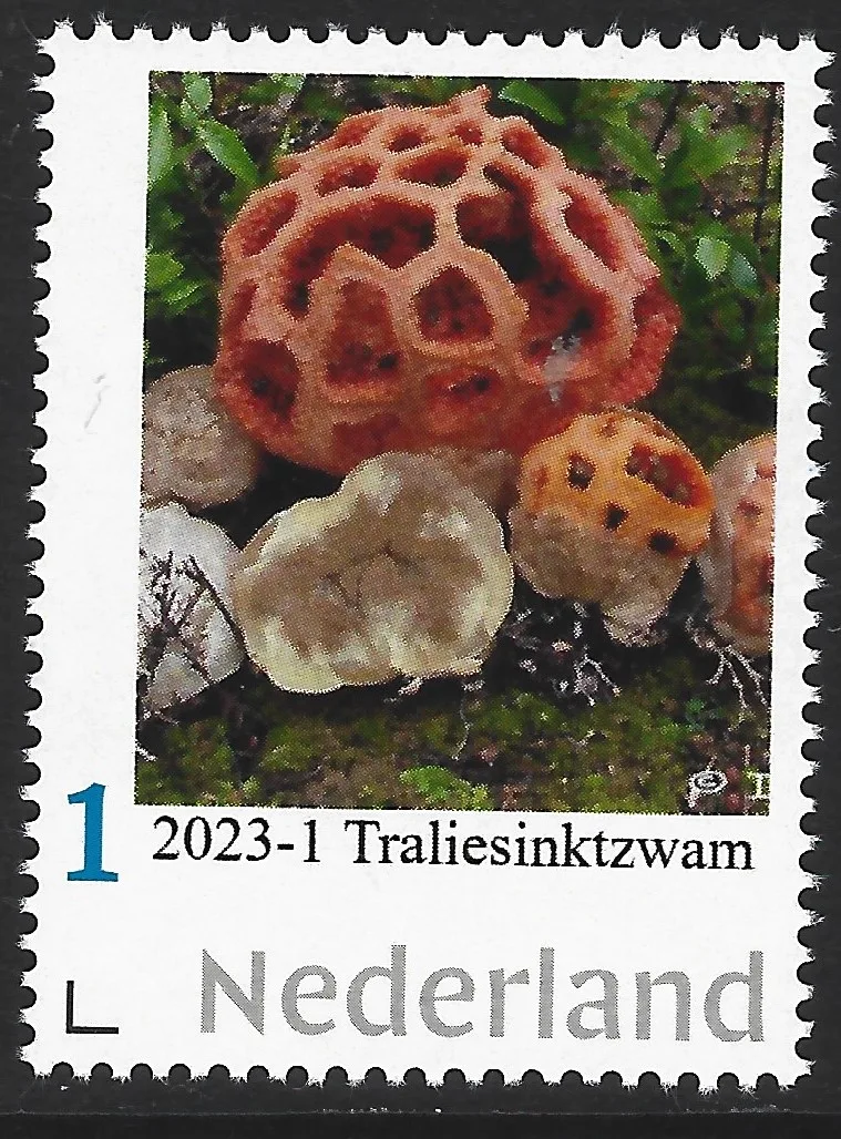 Pays-Bas 2023-1a Champignons mushroom : Traliesinktzwam neuf/mnh