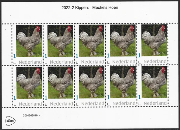 Nederland 2022-2 Kippen Mechels hoen vel-sheetlet postfris/mnh