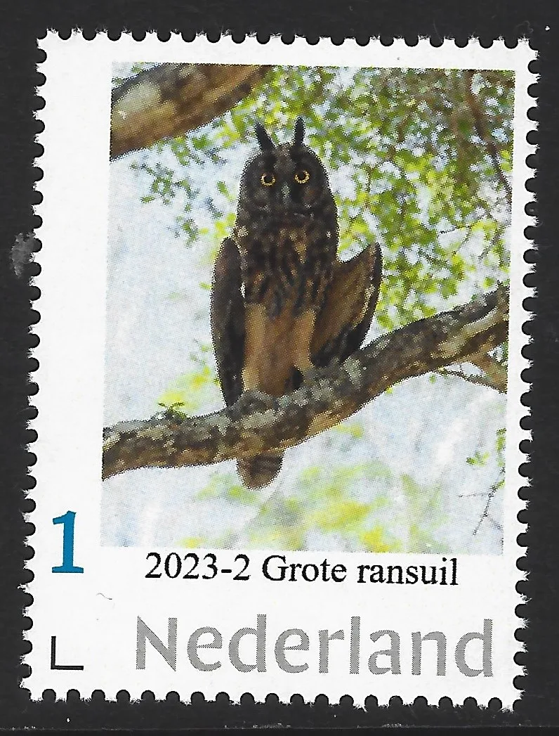 Pays-Bas 2023-2 Hiboux chouettes : Chouette noire - Stygian owl neuf/mnh