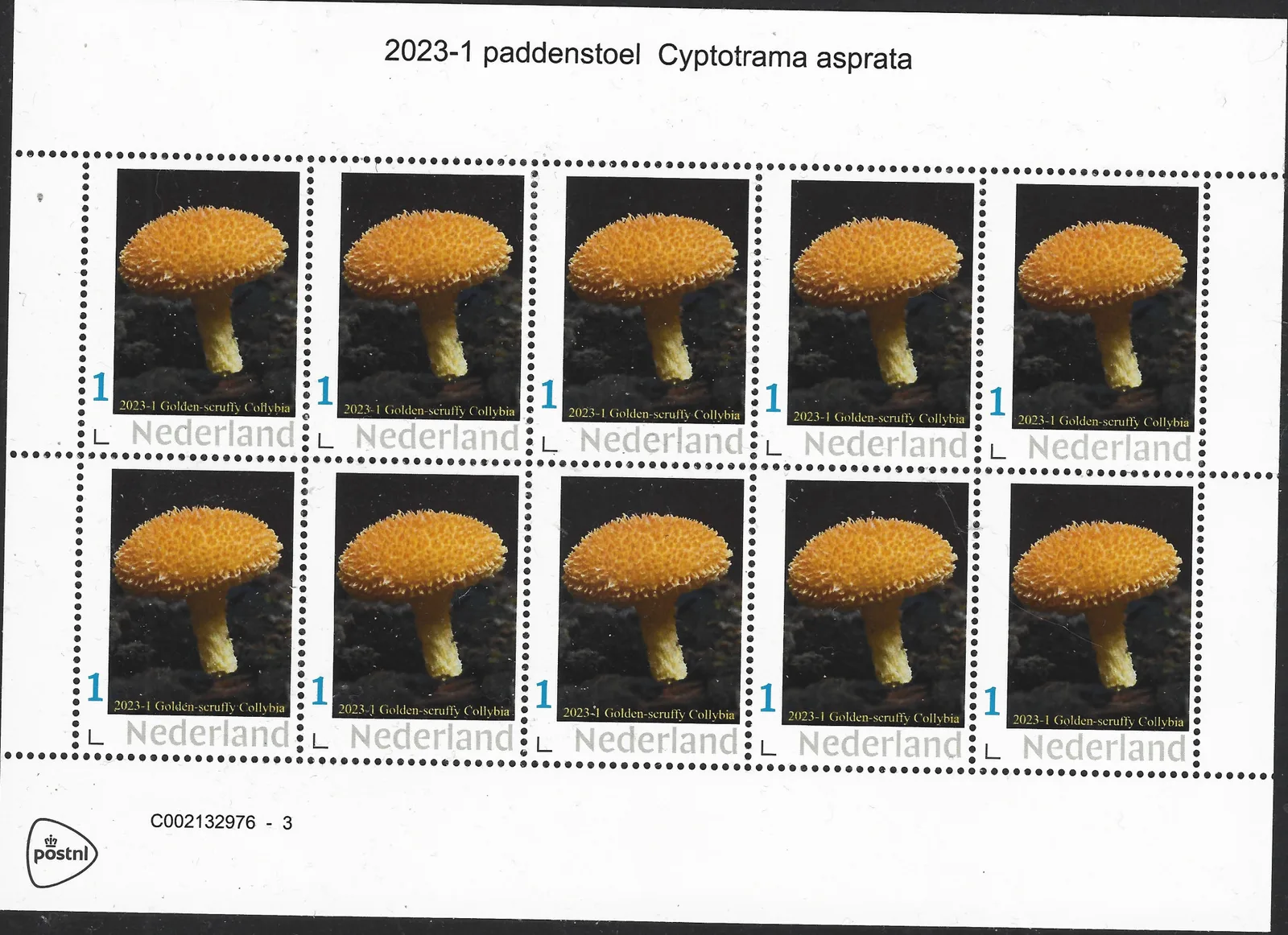 2023-1 Paddenstoel -mushrooms Cyptotram Asprata vel/sheetlet postfris/mnh