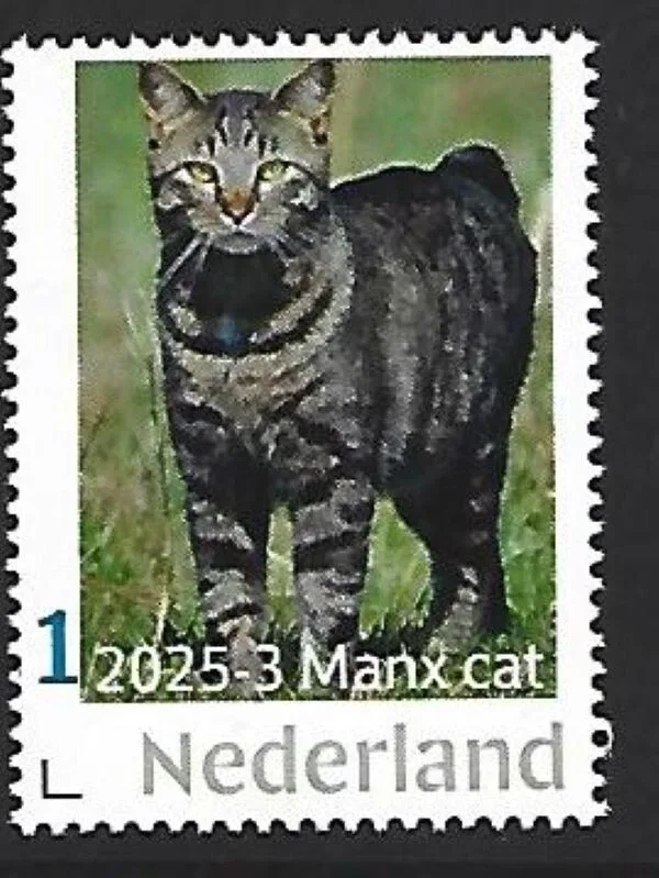 Nederland 2025-3 Kat Cat: Manx cat postfris/mnh