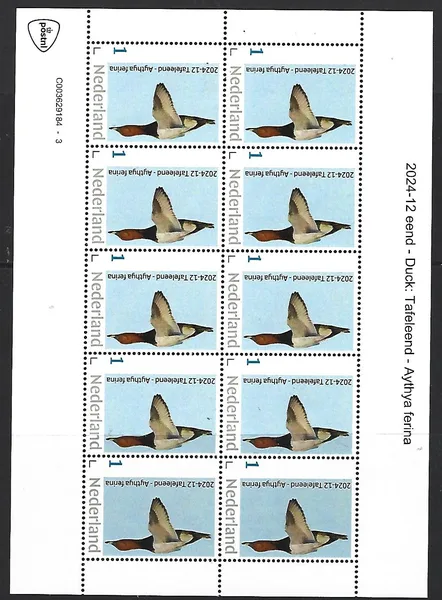 Netherlands 2024-12 Duck: Tufted Duck sheetlet MNH