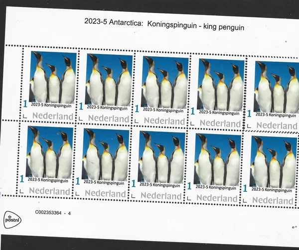Nederland 2023-5 Antarctica: Koningspinguin king penquin vel-sheetlet postfris/mnh