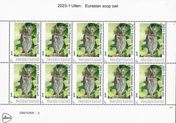Nederland 2023-1 uilen - owls Eurasian scrop owl vel/sheetlet postfris/mnh
