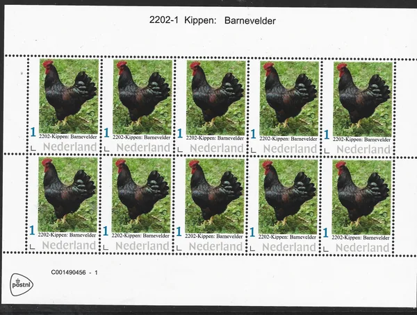 Nederland 2022-1 Kippen Barnevelder - chicken Barnevelder vel-sheetlet postfris/mnh