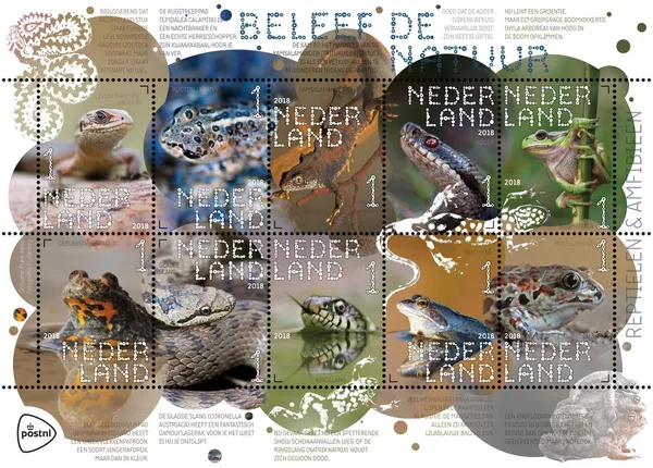 Nederland V3601-3610 natuur Reptielen Amfibiën 2018 velletje-sheetlet postfris/mnh