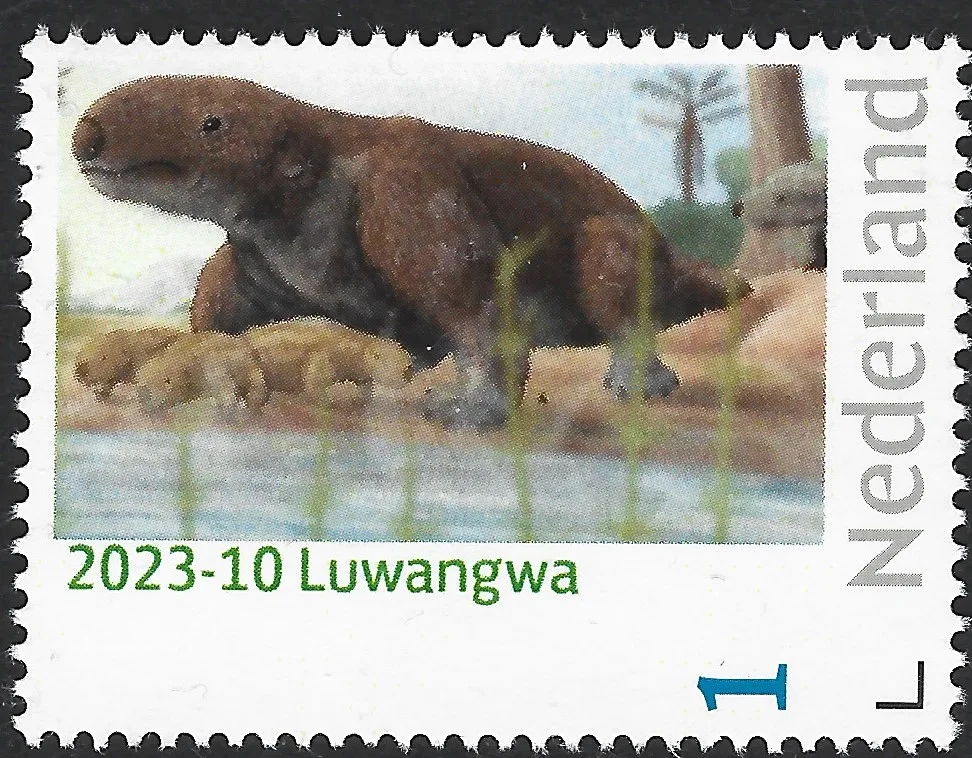 Pays-Bas 2023-10 Préhistoire préhistorique : Luwangwa neuf/nnh