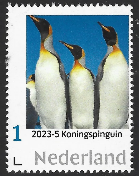 Netherlands 2023-5 Antarctica: King Penguin MNH