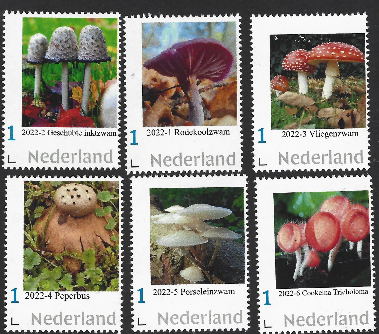 Niederlande 2022 Jahresset postfrisch/ungebraucht