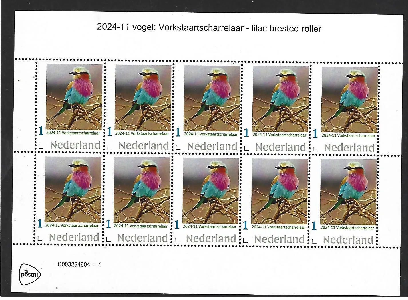 Pays-Bas 2024-11 Oiseaux birds: Guêpier lilacin Lilac brested roller feuillet neuf/mnh