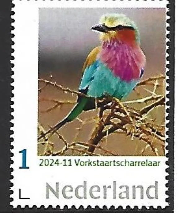 Pays-Bas 2024-11 Oiseaux : Guêpier liliacé neuf/nmh