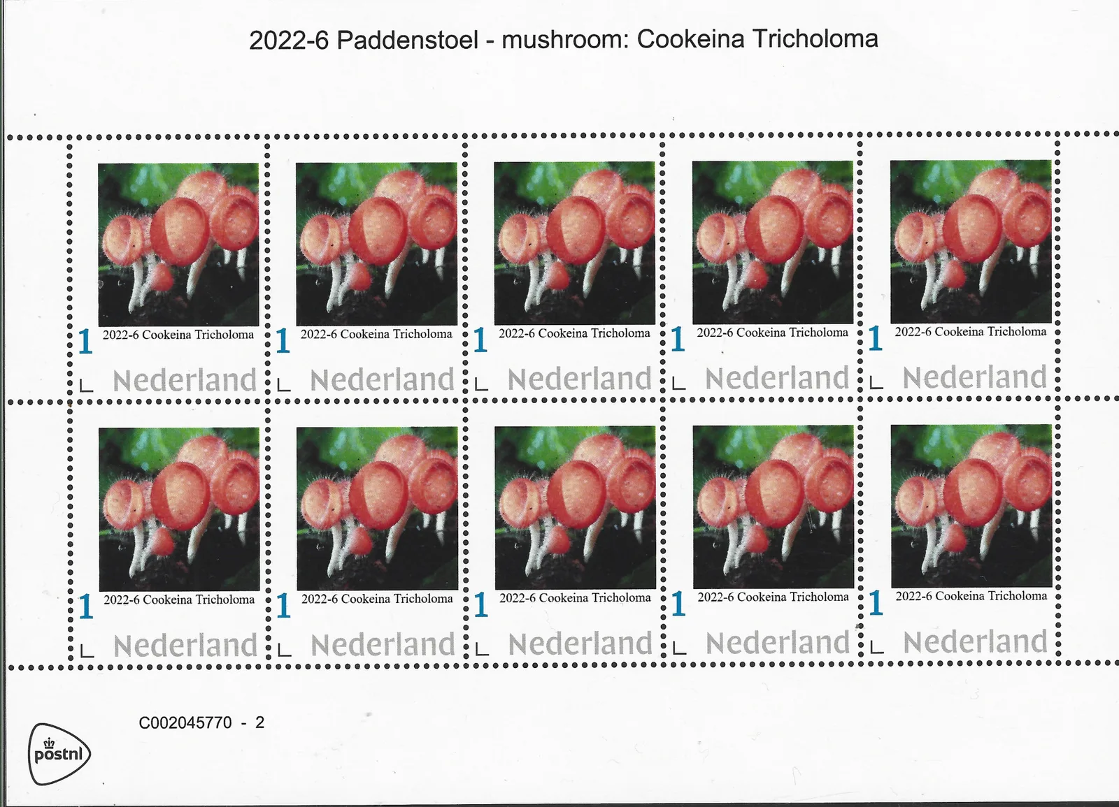 Niederlande 2022-6 Pilz - Mushroom: Cookeina Tricholoma vel-Kleinbogen postfrisch/mnh