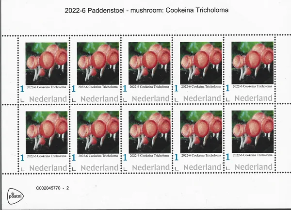 Nederland 2022-6 Paddenstoel - Mushroom: Cookeina Tricholoma vel-sheetlet postfris/mnh