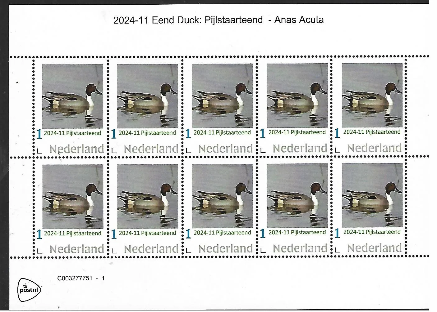 Niederlande 2024-11 Ente Spießente Anas Acuta Markenheftchen postfrisch/ungebraucht