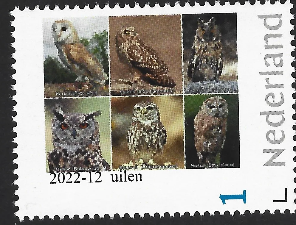 Pays-Bas 2022-12 Hiboux - Owls neuf/mnh