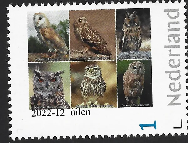 Netherlands 2022-12 Owls MNH