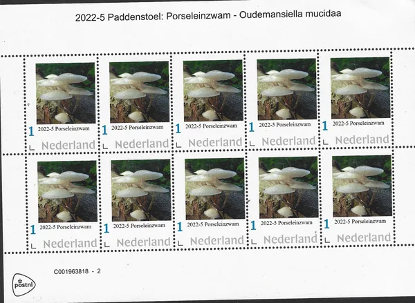 Nederland 2022-5 paddenstoel - mushroom Porseleinzwam oudemansiella mucida vel/sheetlet posfris/mnh