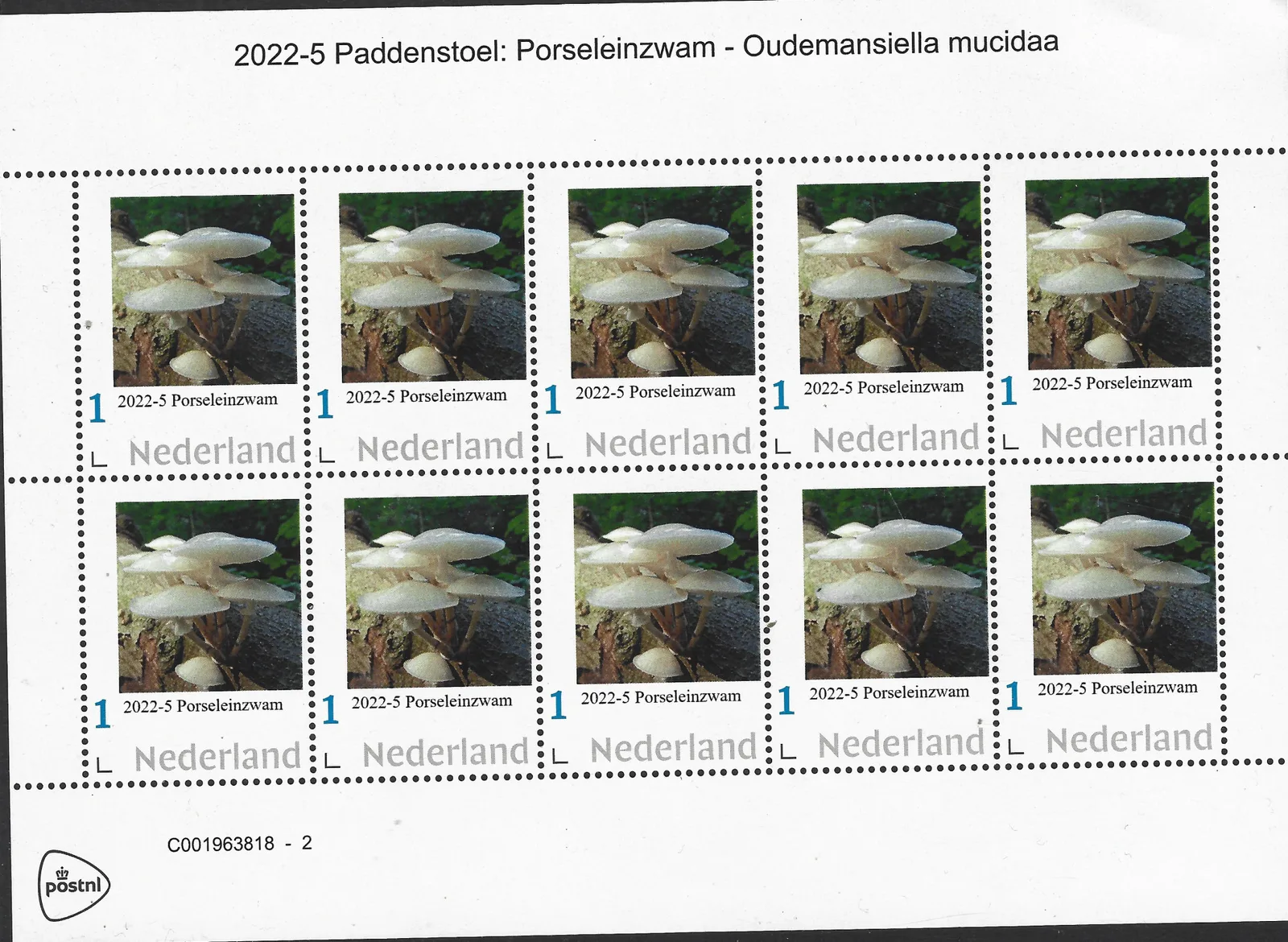 Pays-Bas 2022-5 champignon - mushroom Porcelaine Oudemansiella mucida feuillet neuf/mnh