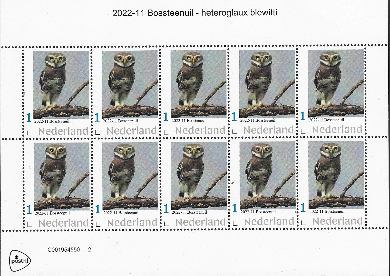 Niederlande 2022-11 Eulen Waldkauz Heteroglaux blewitti Bogen postfrisch/mnh