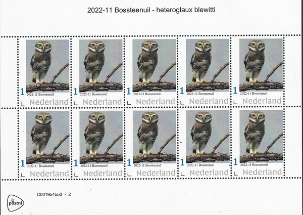 Netherlands 2022-11 Owls Forest Screech-owl Heteroglaux blewitte sheet MNH