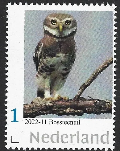 Netherlands 2022-11 Owls - Tawny Fish Owl - Heteroglaux blewitti MNH