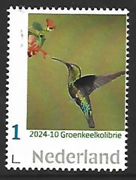 Nederland 2024-10 vogel bird: Groenkeelkolibrie Green throated Hummingbird postfris/mnh