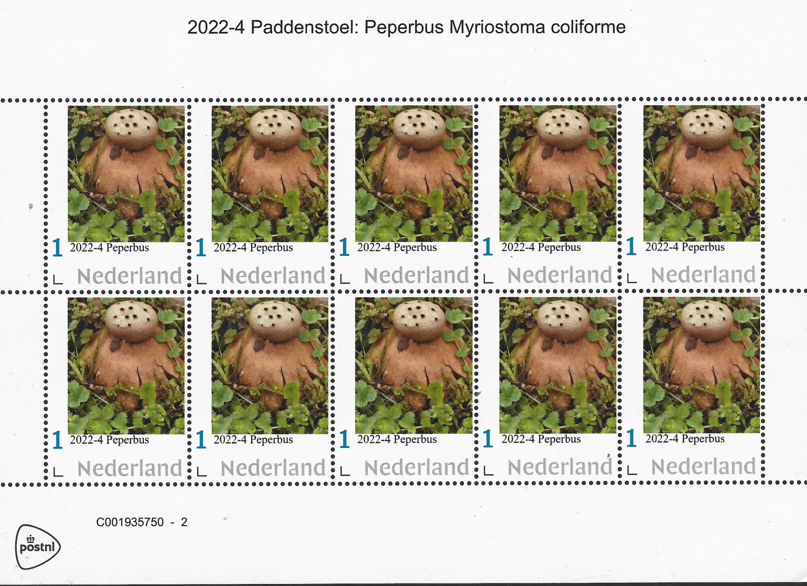 Pays-Bas 2022-4 Champignon Peperbus Myriostoma coliforme feuillet neuf/mnh