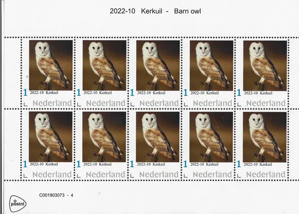 2022-10 Owls: Barn owl vel-sheetlet