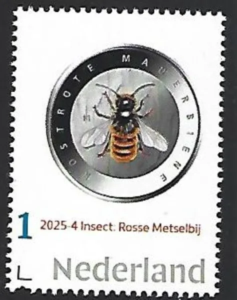 Nederland 2025-4 insects: Rosse Metselbij Red Mason bee postfris/mnh