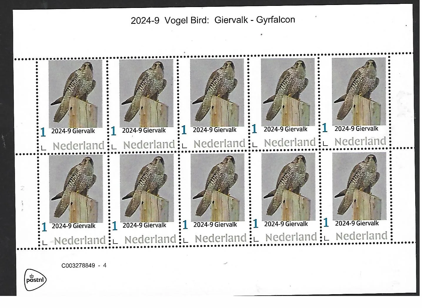Netherlands 2024-9 Bird: Gyrfalcon sheetlet MNH