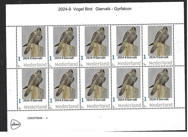 Netherlands 2024-9 Bird: Gyrfalcon sheetlet MNH