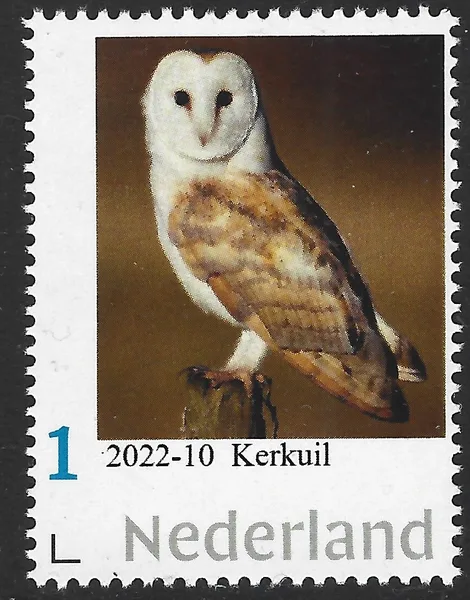 2022-10 Owls: Barn owl MNH