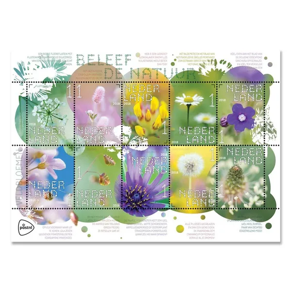 Netherlands V3632-3641 Nature wildflowers 2018 sheetlet MNH