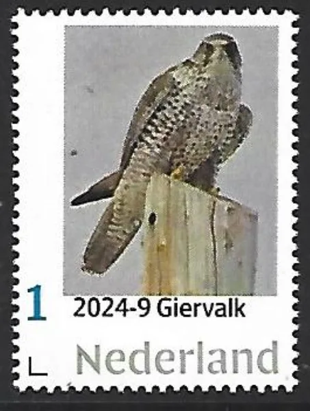 Nederland 2024-9 Vogel Bird: Giervalk Gyrfalcon postfris/mnh