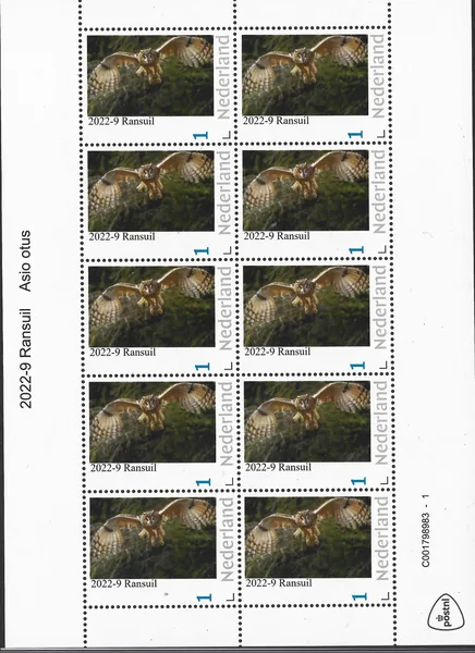 Netherlands 2022-9 Owls Eurasian Eagle Owl Asio otus sheet/sheetlet MNH