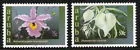 300-301 Aruban Orchids 2003