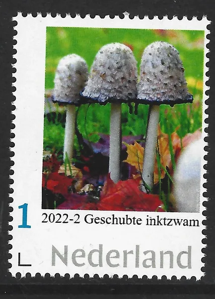Nederland 2022-2 Paddestoel - Mushroom Geschubte inktzwam postfris-mnh