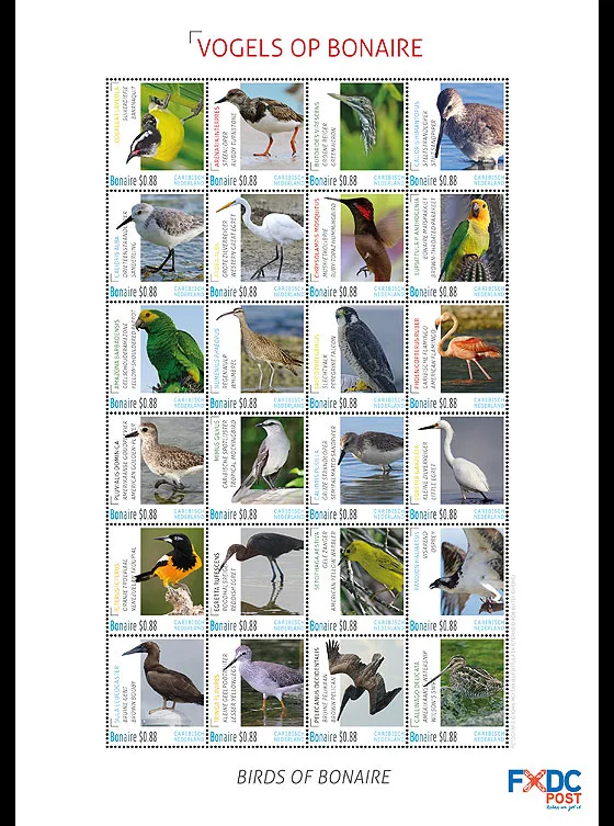Caribisch Nederland 2016 bonaire vogels-birds vel-sheetlet postfris