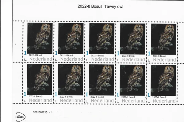 Netherlands 2022-8 Owls Bosuil Sheet MNH