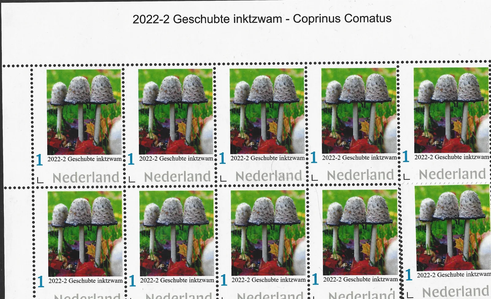 Niederlande 2022-2 Pilz - Mushroom Flockiger Tintling Bogen-sheetlet postfrisch-mnh