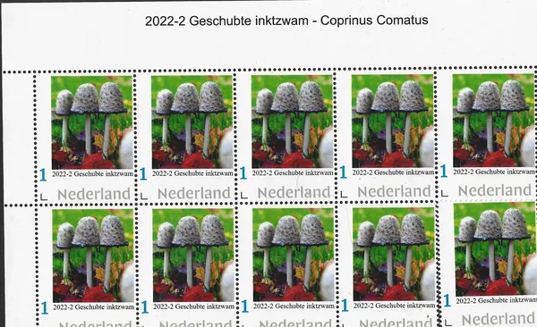 Nederland 2022-2 Paddestoel - Mushroom Geschubte inktzwam vel-sheetlet postfris-mnh