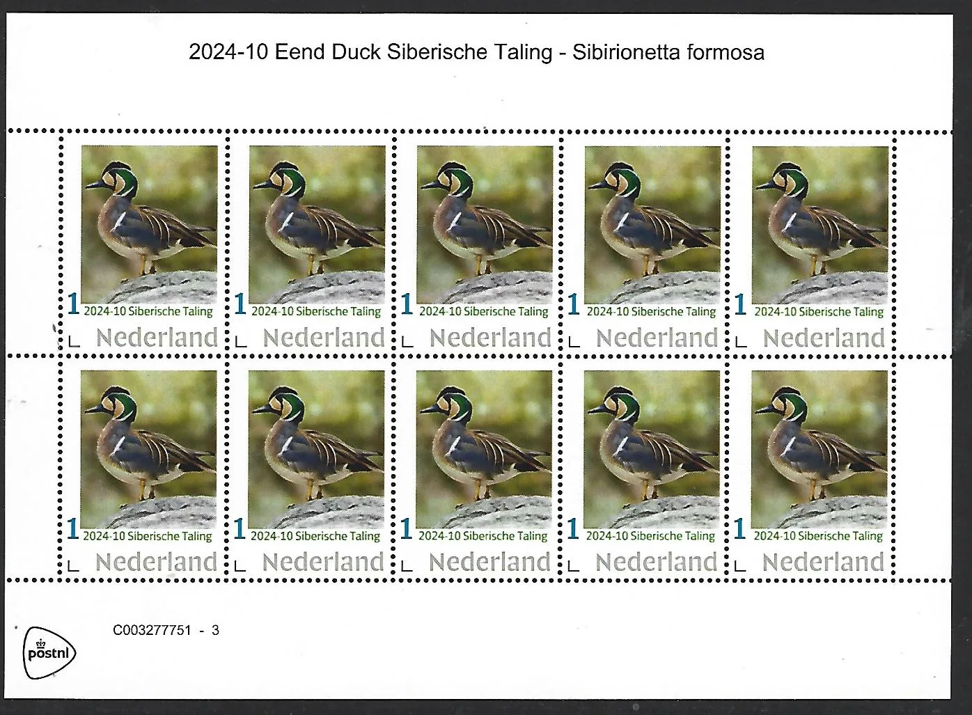 Pays-Bas 2024-10 Canard : Harelde de Miquelon Siberionetta formosa feuillet neuf/mnh
