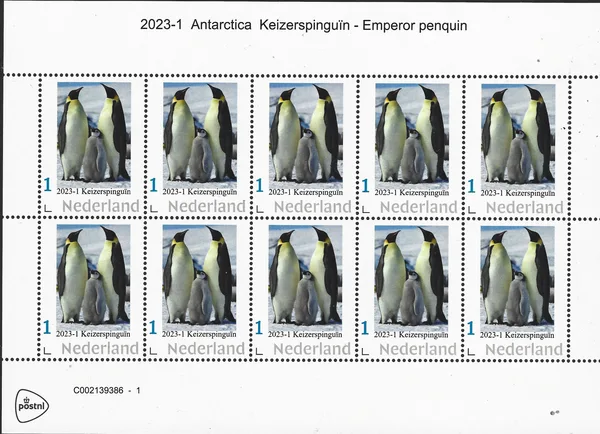 Netherlands 2023-1 Antarctica Penguins sheetlet MNH