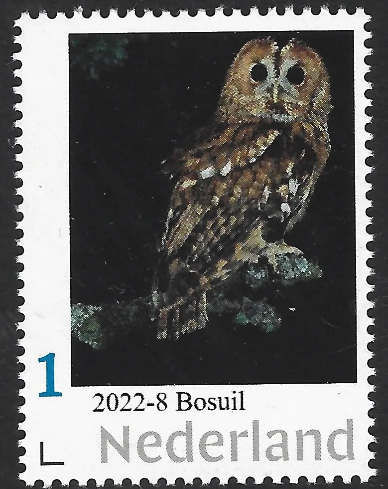 Pays-Bas 2022-8 Hiboux Chouette des bois neuf/oblitéré