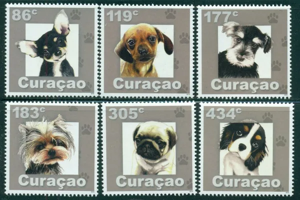 Curacao 2015 Dogs 295-300 MNH